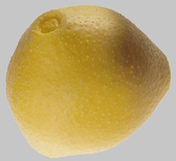 Hazelnut Pollen Grain